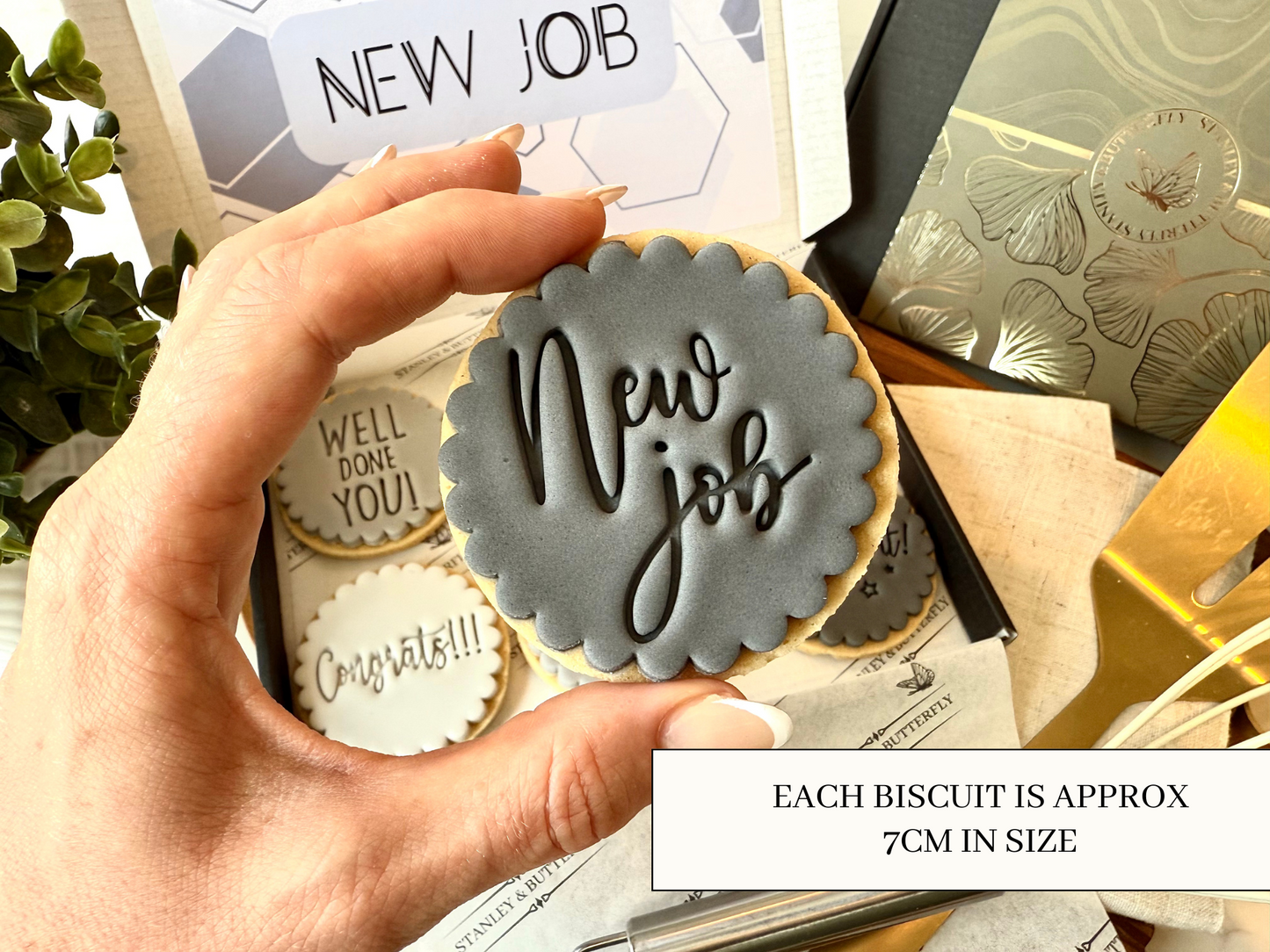 New Job Biscuits - Grey