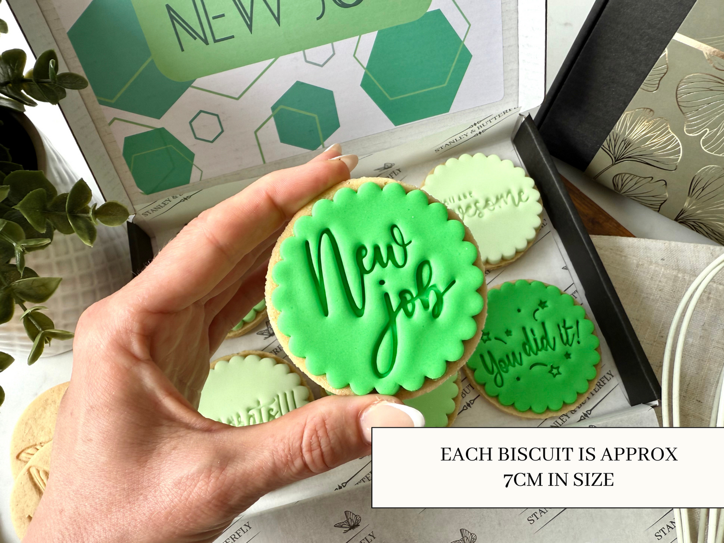 New Job Biscuits - Party Green