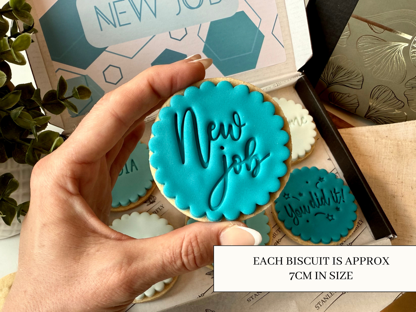 New Job Biscuits - Turquoise