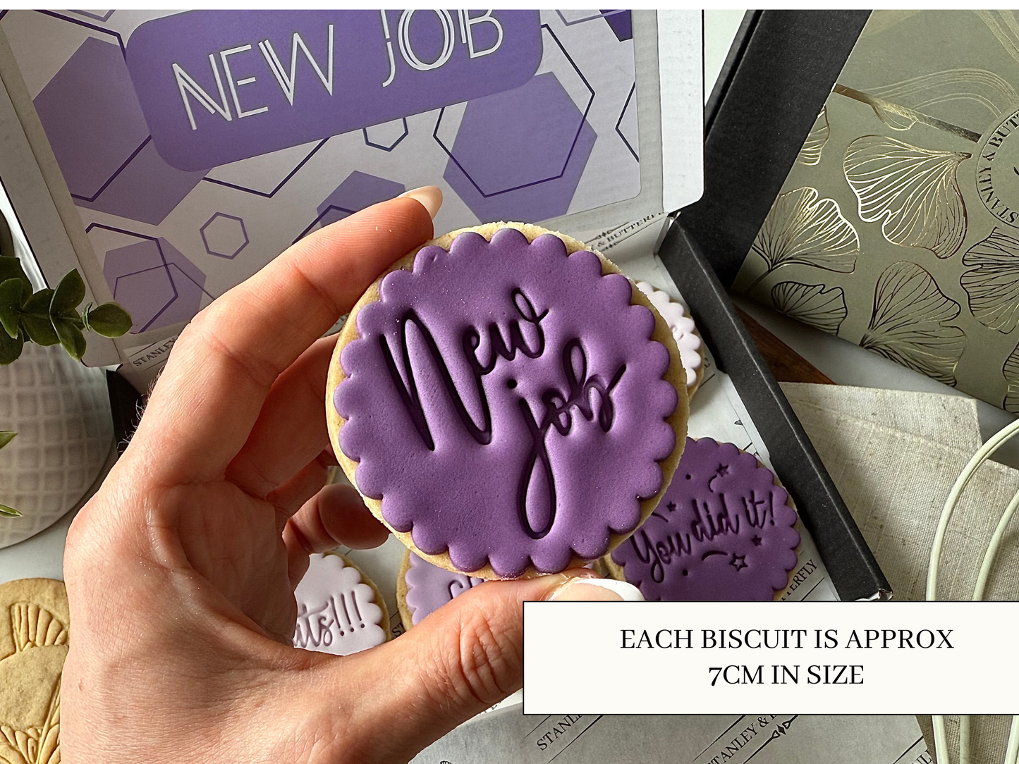 New Job Biscuits - Purple
