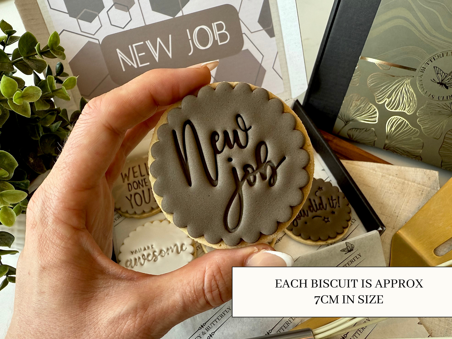 New Job Biscuits - Neutral