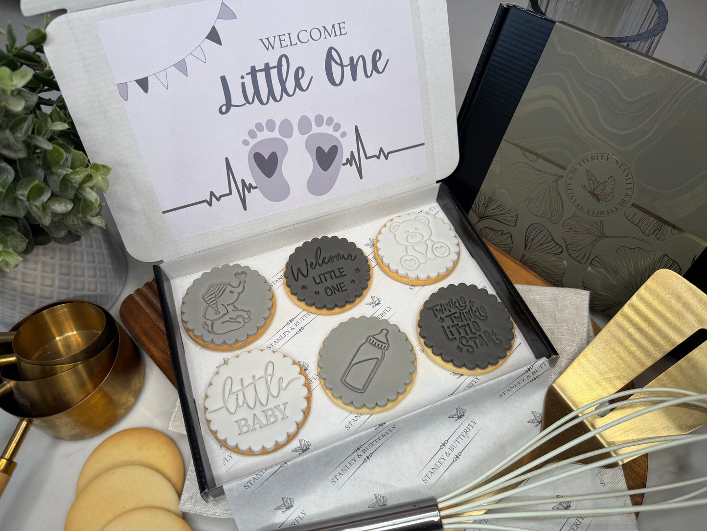 Newborn - Grey
