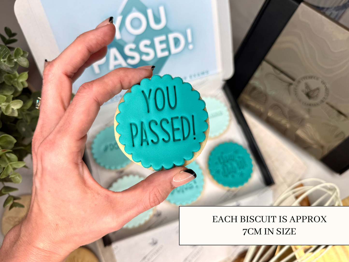 Exam Pass Gift - Duckegg