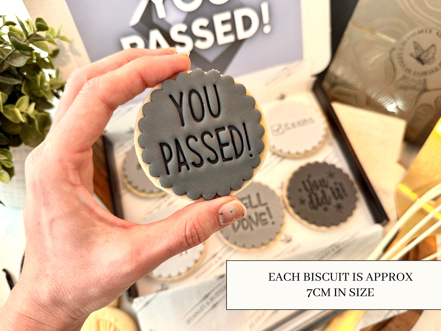 Exam Pass Gift - Grey