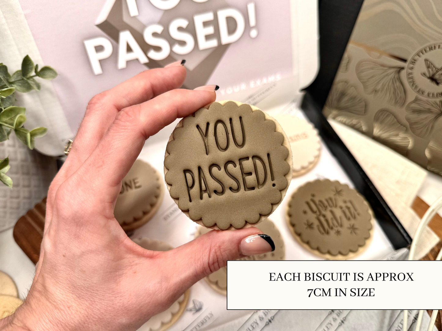 Exam Pass Gift - Neutral