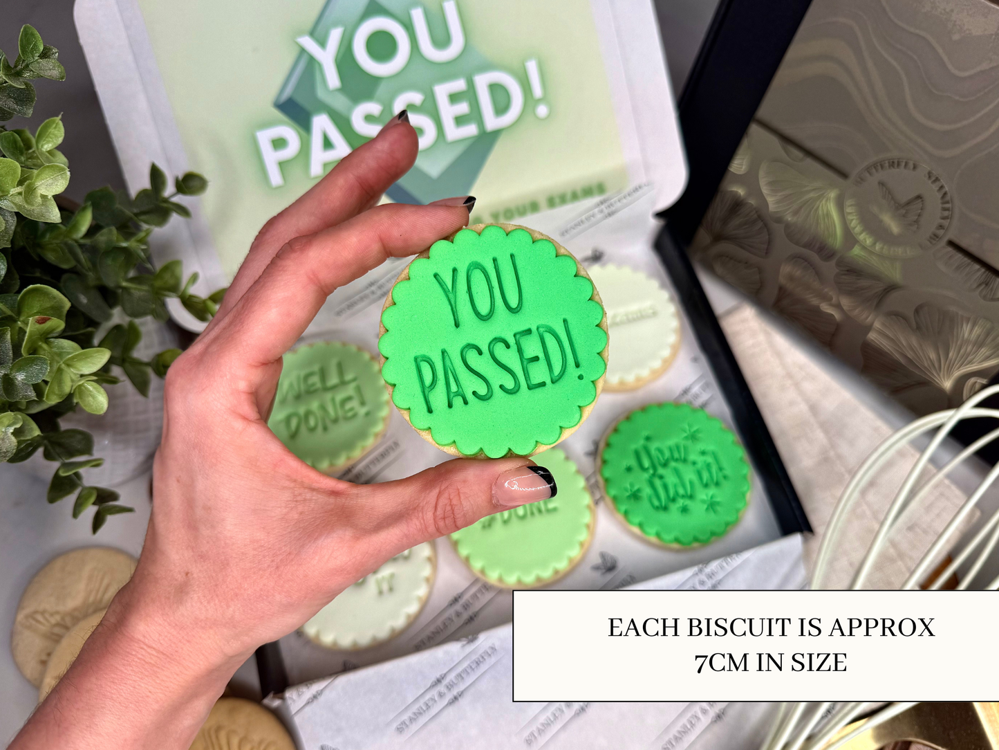 Exam Pass Gift - Party Green