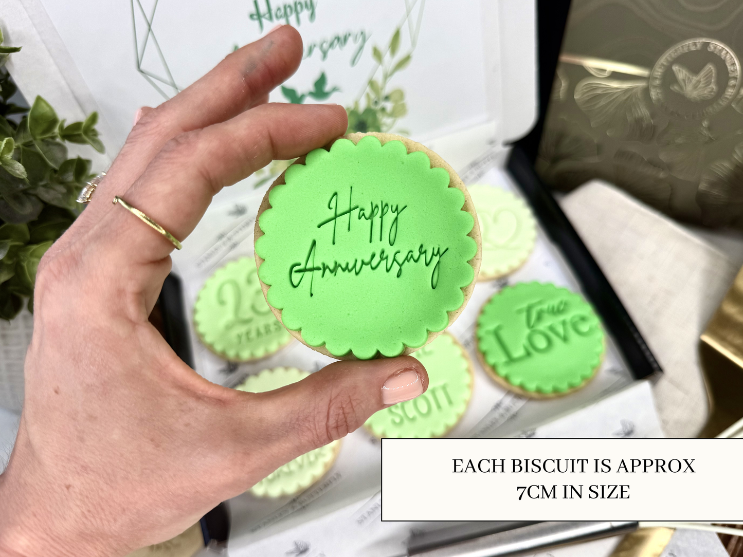 Anniversary Gift - Party Green
