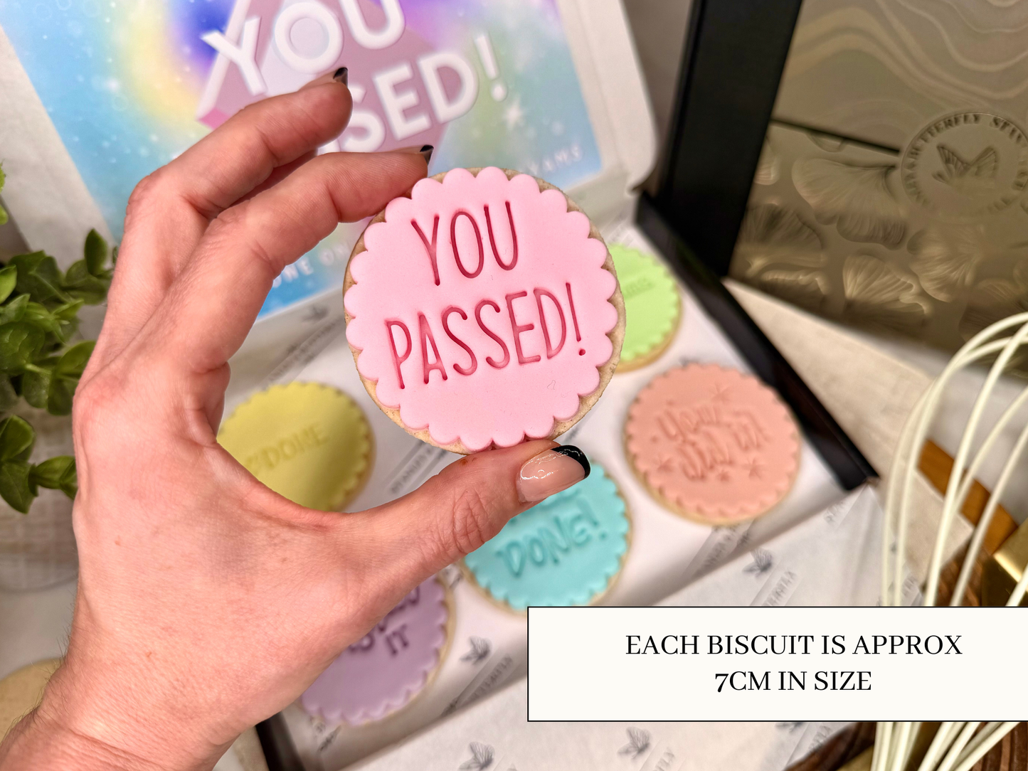 Exam Pass Gift - Rainbow