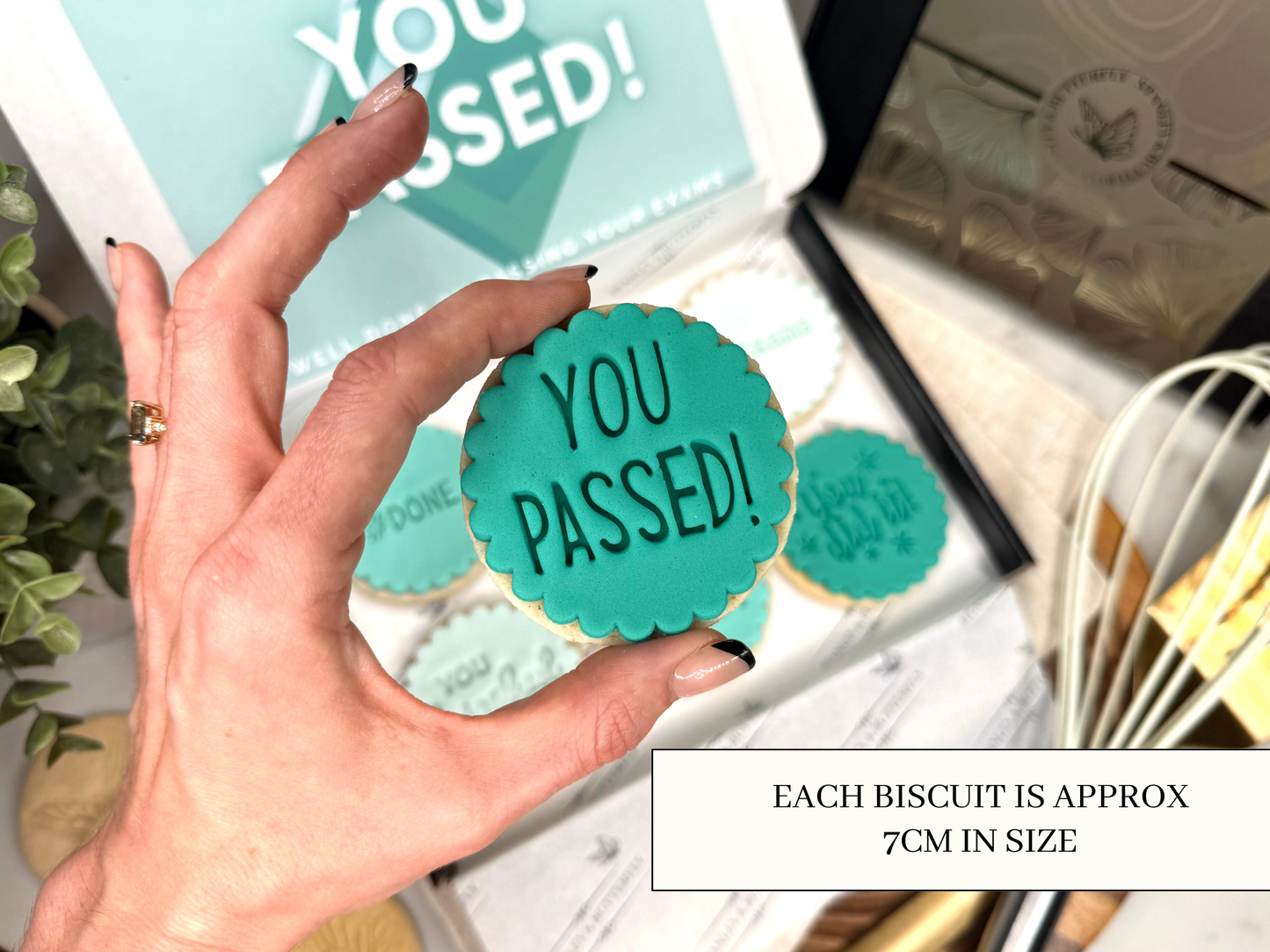 Exam Pass Gift - Seagreen