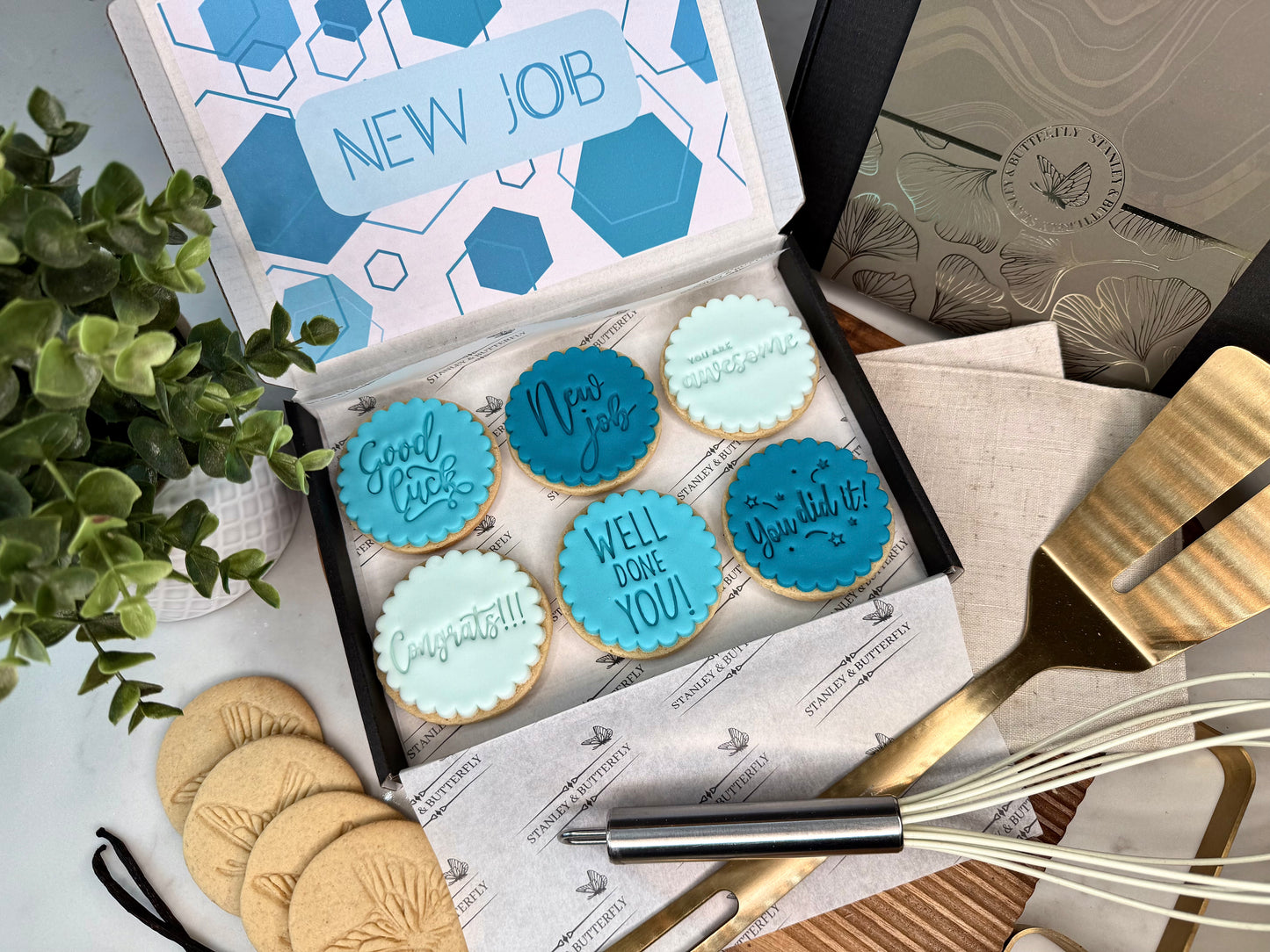 New Job Biscuits - Turquoise