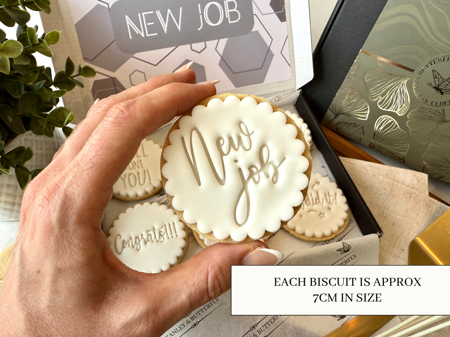 New Job Biscuits - White